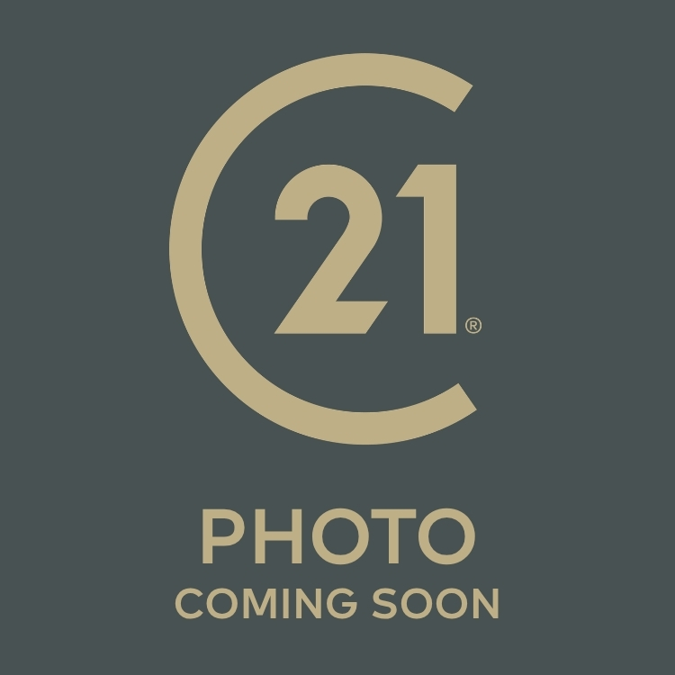 Headshot For Website Team Page (300 x 300 px)